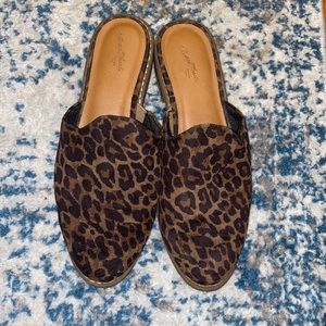 Cheetah Mules